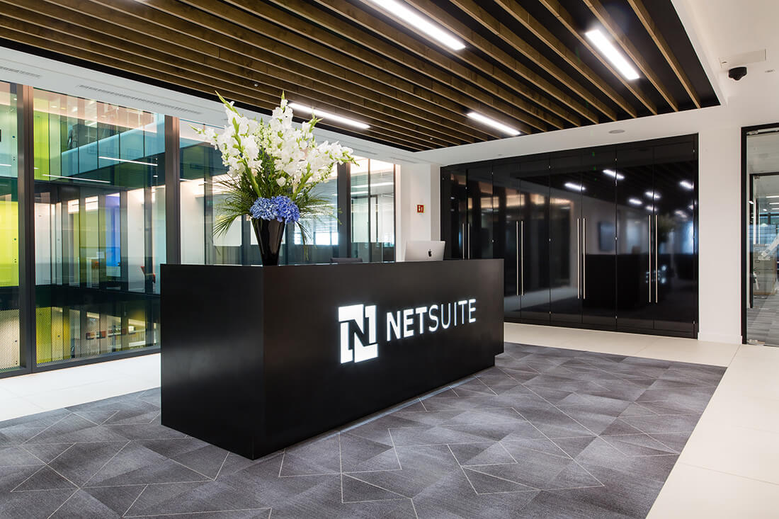 netsuite embedded payments