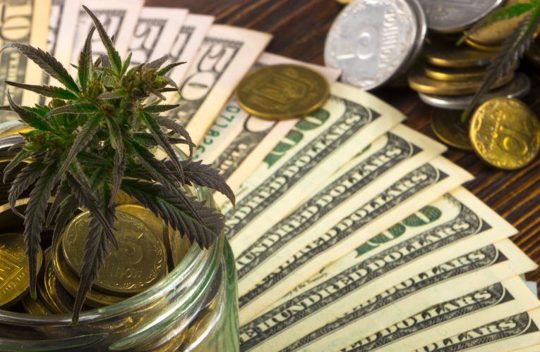Best Merchant Accounts for CBD Processing, Business, and Retailing