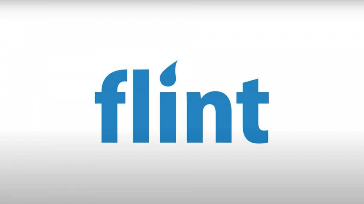 Flint Mobile review