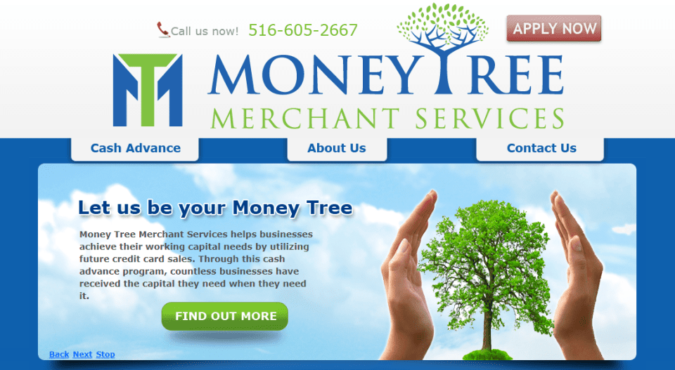 Money Tree Merchant Services Review