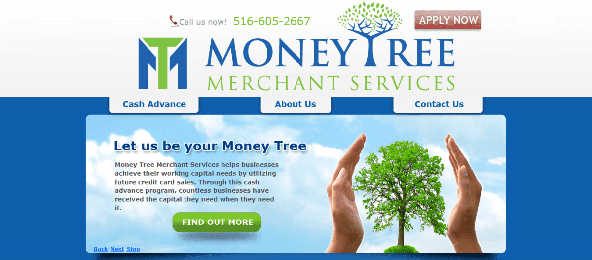 Money Tree Merchant Services Review